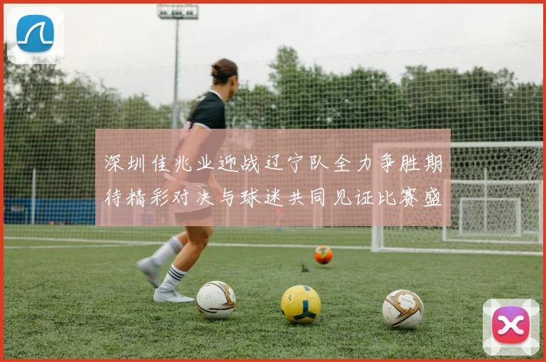 深圳佳兆业迎战辽宁队全力争胜期待精彩对决与球迷共同见证比赛盛况
