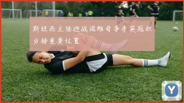 斯旺西主场迎战诺维奇争夺英冠积分榜重要位置